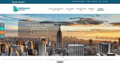 Desktop Screenshot of bursaliagestion.com